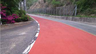 경기도양평군개군산구미리고개